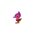 Rainbow Pikipek